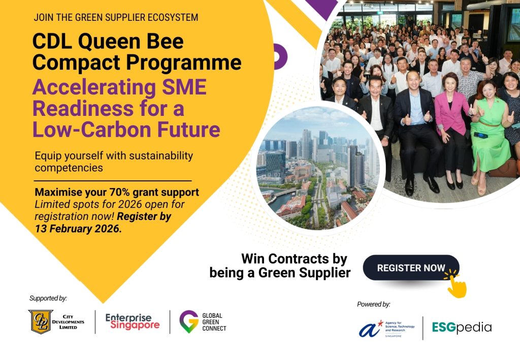 CDL Queen Bee Compact Programme 2