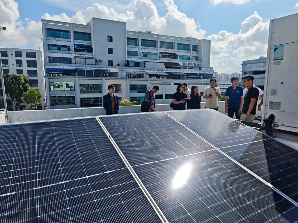 SolarGy 7